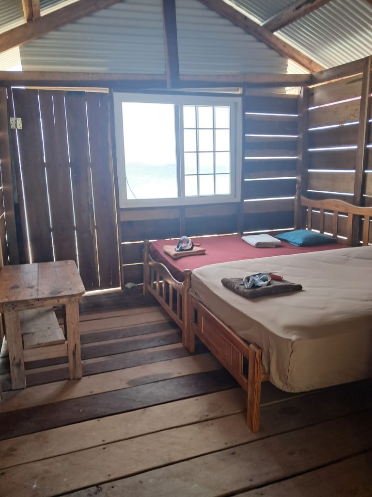 Spacious and cozy premium cabin interior