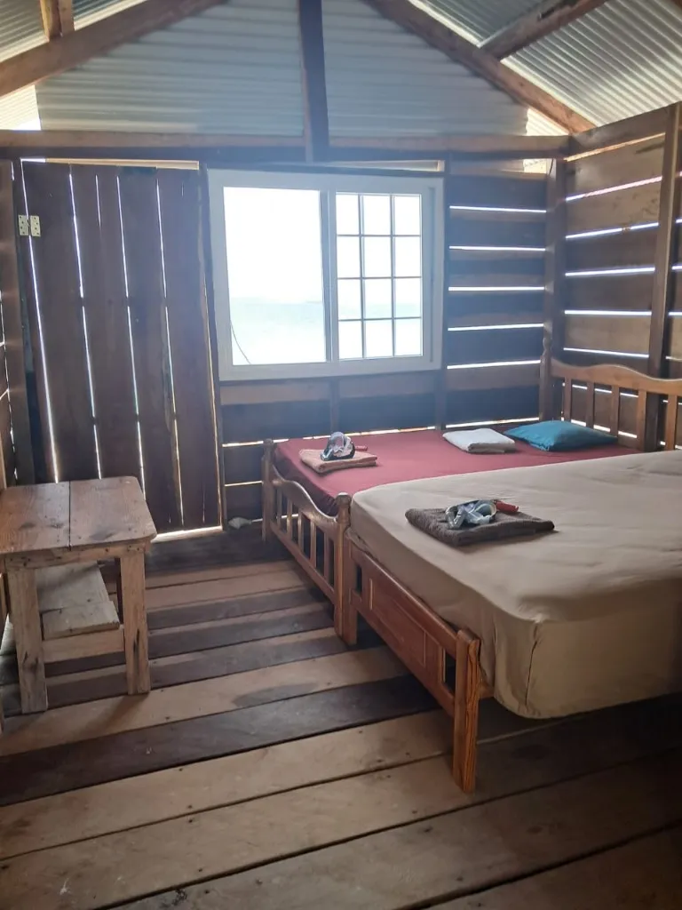 Spacious and cozy premium cabin interior